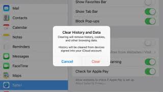 How to CLEAR HISTORY on iPad?