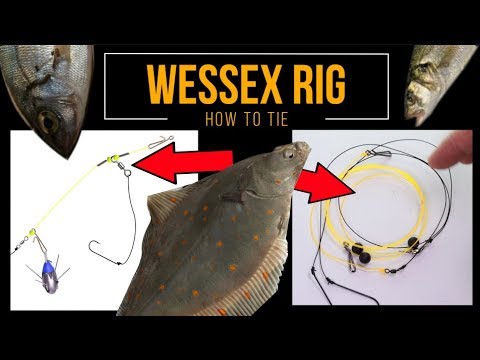 Sea Fishing Rig Guide - WESSEX RIG A two minute rig that works