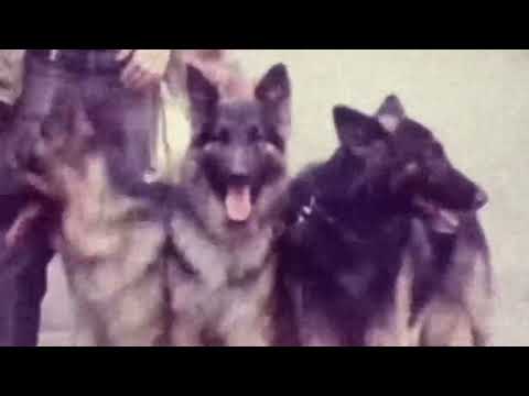 Are You Really Fine? | Job 3