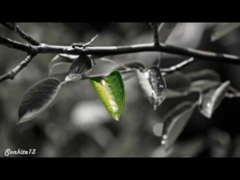 Hinkstep - Opium (Original mix)