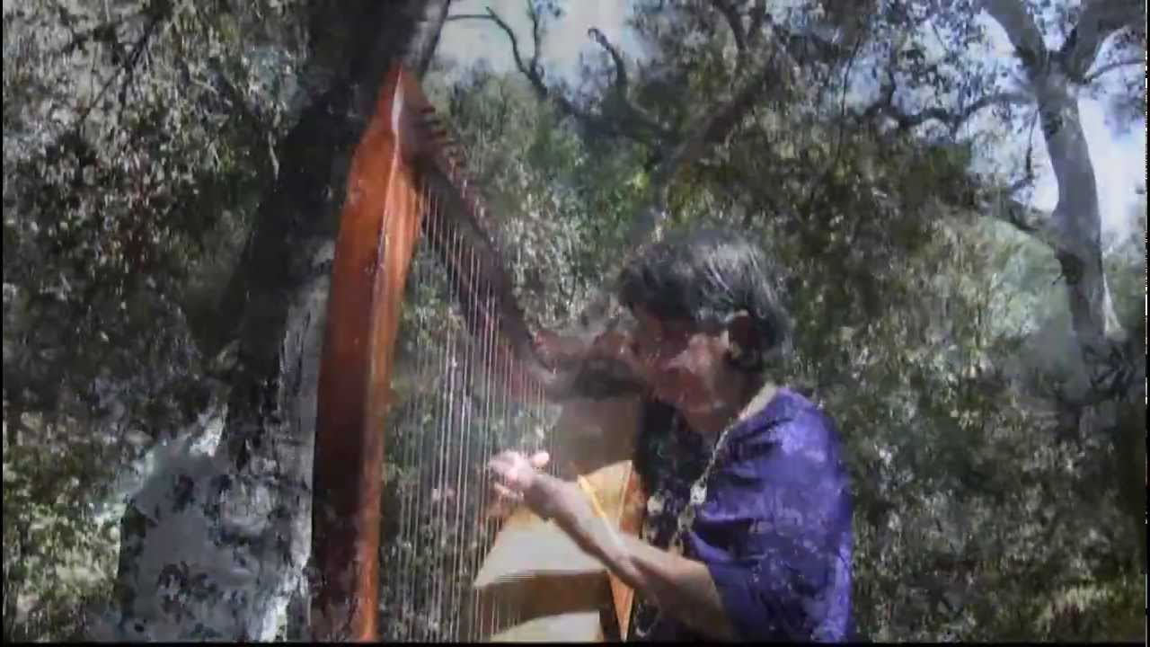 Promotional video thumbnail 1 for Magical Harps by Amy Lynn Kanner