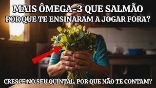 Mais Ômega-3 Que Salmão. Cresce na Calçada. Gastam Milhões Para Você Não Saber