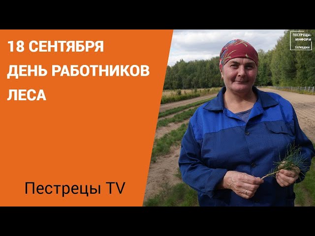 Пестречинские лесники 18 сентября отмечают свой профессиональный день