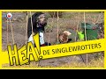 HEA! De Singlewrotters