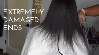 *EXTREMELY* Damaged Split Ends | Silk Press on Fine Texture | Products Used