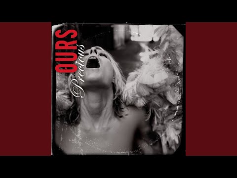 Leaves - Ours