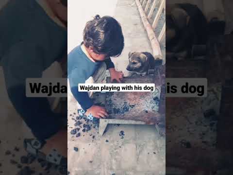 wajdan playing with his cute dog