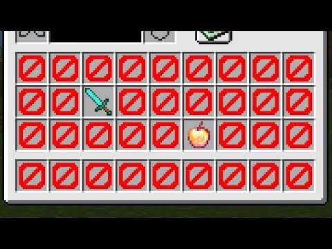 MINECRAFT MALEDETTO MA OGNI 5 SECONDI TI ELIMINA L'INVENTARIO!!