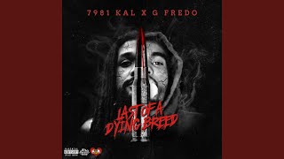 7981 Kal - Topic