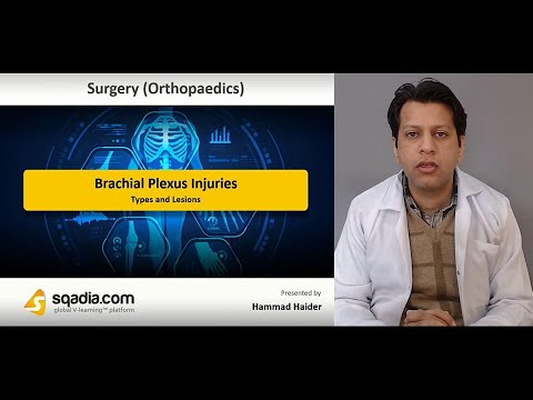 Brachial Plexus Injuries - Types and Lesions