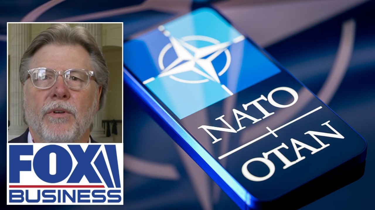 'NOT YOUR DADDY'S NATO': Lawmaker says its time to revisit construct of alliance