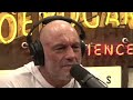 Joe Rogan On Mike Tyson Vs Lennox Lewis