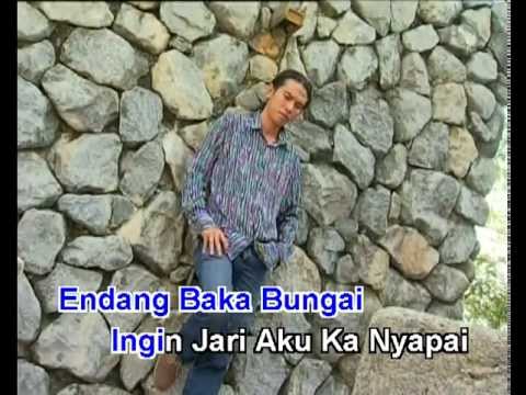 Dara Puchuk Meligai - Stevenson