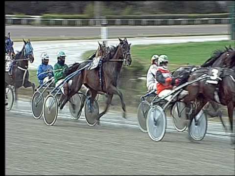 Trotto 05/03/2017 - 3ª corsa