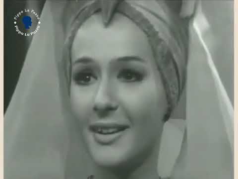 La verità viene a galla! La Freccia Nera - Episodio 6