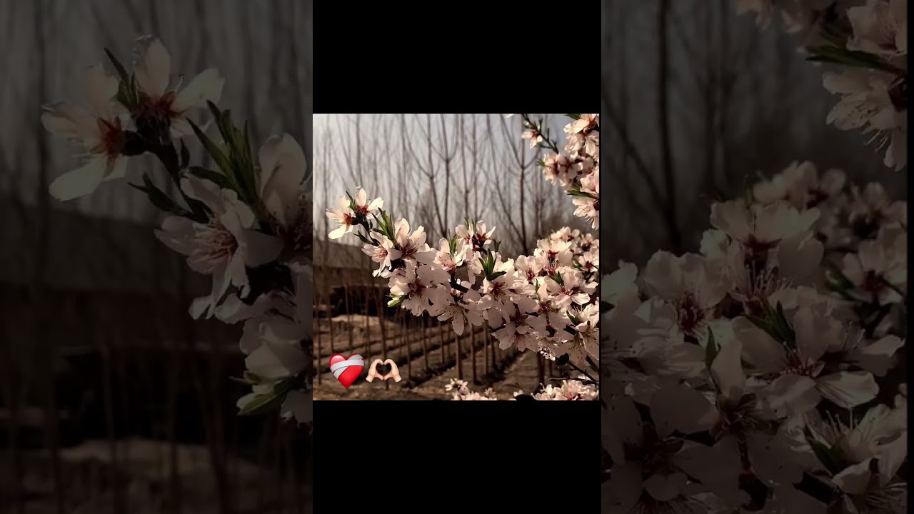 admin har doim yomon inson) uzoro yurila