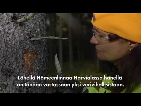 UPM:n metsäammattilaiset: Heli Viiri
