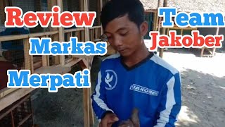 Download lagu Review markas merpati team jakober pangandaran#merpati#jakober#pangandaran mp3 Download lagu Review markas merpati team jakober pangandaran#merpati#jakober#pangandaran mp3