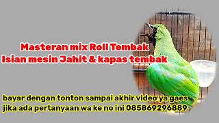 Download lagu MASTERAN CUCAK IJO ROLL TEMBAK MESIN JAHIT & KAPAS TEMBAK ( investment & technology business ) mp3