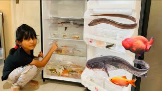 Download lagu Menemukan Ikan Hias Dalam Kulkas Ikan Lele, Belut, Koi, Ikan Koki, ikan Sapu Sapu, Lobster, Glofish mp3