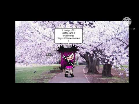 Ho una notizia pella per voi ;-;💕