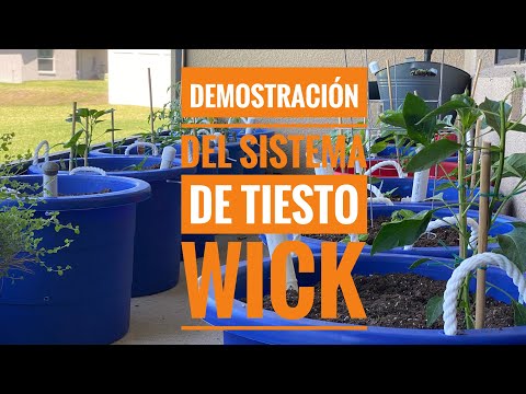 Demostración Del Sistema De Tiestos Wick