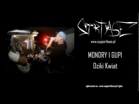 Mondry i Gupi - Dziki Kwiat