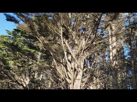 Fitzgerald Marine 20240107 111208