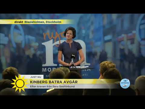 Därför avgår Anna Kinberg Batra: "Det går inte" - Nyhetsmorgon (TV4)
