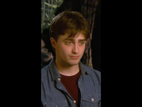 Harry Potter Y La Piedra Filosofal