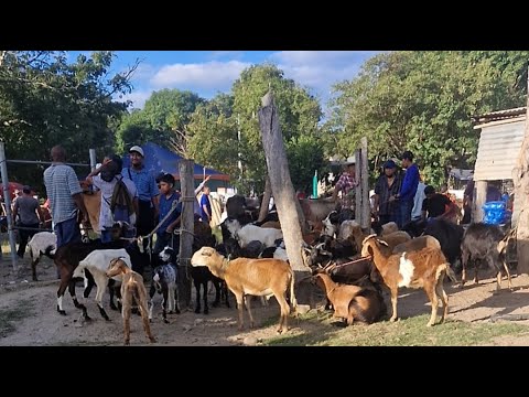 Santiago Nonualco, La Paz Centro, domingo 21 de diciembre 2025