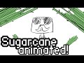 SugarCane - Hermits Animated (100 subs special)