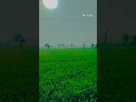 #farmers#jatt#farmlife #sukhpreet sukhpreet Singh sohi