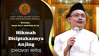 Download lagu KH Abdullah Saad  Hikmah di ciptakannya Anjing pelayan Setia mp3