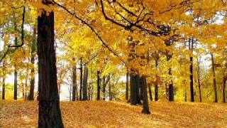 Otoño Medieval - Rata Blanca