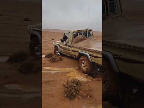 شاص مغرز #اكسبلور #الظروف #حبه #لايك