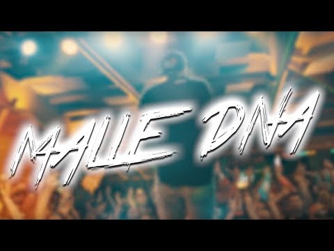 Malle DNA  - Rick Arena (Lyric Video)