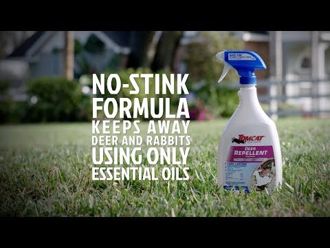How to Keep Deer and Rabbits Away with Tomcat's No-Stink Formula 24 oz