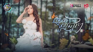 ស្នេហាមួយឆាវៗ | ហុិន លីដា [ OFFICIAL VIDEO ]