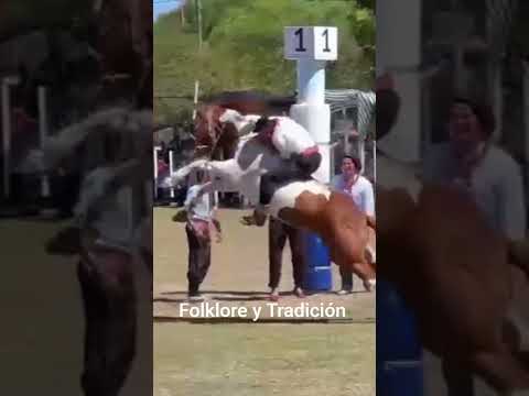 Joaquín Griolio inamovible en la Cruz #jinete #caballos