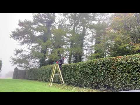 Sherlock's Tree and Countryside Services video.