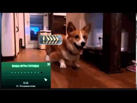 Steam Community :: Video :: russia cs go player
