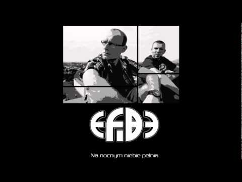 eFiBe - Brakujący element