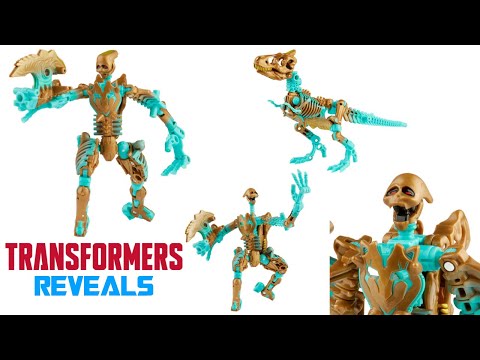 Transformers Kingdom TRANSMUTATE REVEALED! Thoughts