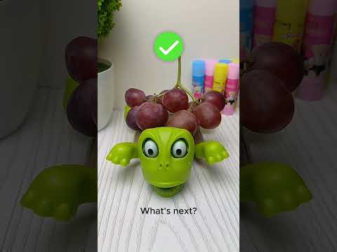 What do you want me to put on top of this turtle? #turtle #coaster #turtlecoaster part382