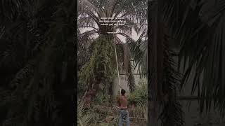 Download lagu 'story'wa' #storywa #tiktok #viral #katakata #fyp mp3