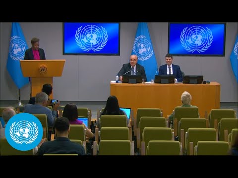 Video Thumbnail: World Economic Situation and Prospects Mid-2026 - DESA Press Conference | United Nations