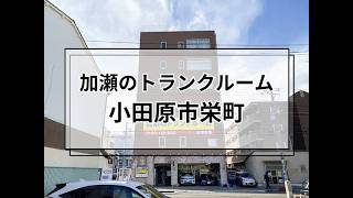 YouTube動画