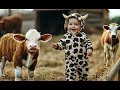 Animal And Baby Collection Adorable Baby And Animal Fashion Show AI Generated Video