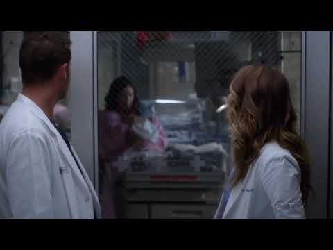 Alex talks about Izzie in his imagination- grey’s anatomy 14x07